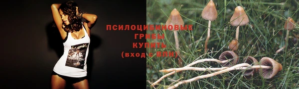 альфа пвп Верхнеуральск