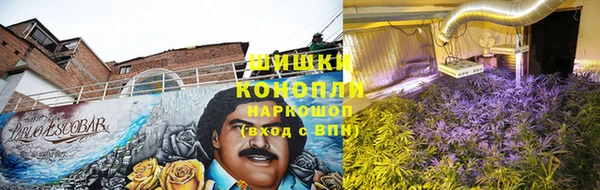spice Верхний Тагил